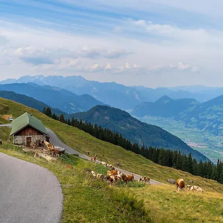 Apartament Building,